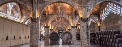 Lumea Brandy-ului Lumea Brandy-ului