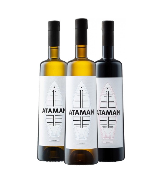 Party Box ATAMAN TASTING - 1