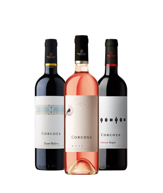 Party Box TASTING CORCOVA Party Box TASTING CORCOVA