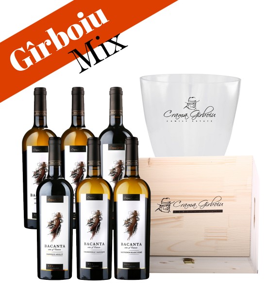 Party Box GIRBOIU MIX Party Box GIRBOIU MIX