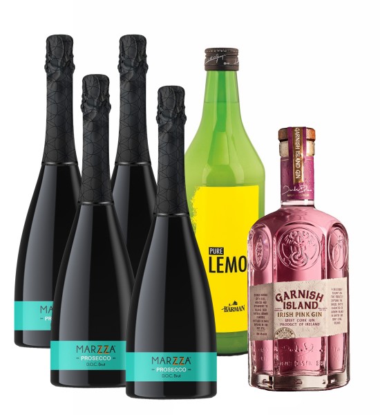 Party Box Marzza Pink Gin Spritz – Roz și fructat - 1