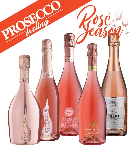 Party Box PROSECCO ROSE TASTING Party Box PROSECCO ROSE TASTING