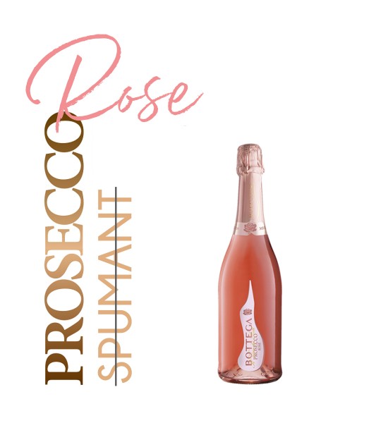 Bottega Il Vino dei Poeti Prosecco Rose Brut 0.2L Bottega Il Vino dei Poeti Prosecco Rose Brut 0.2L