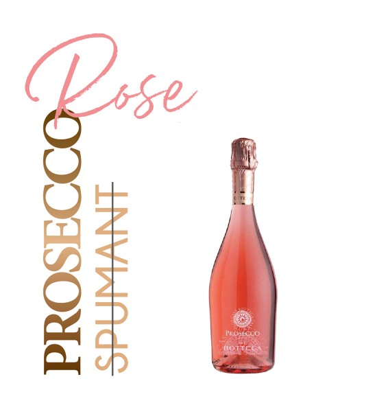 Casa Bottega Prosecco Rose DOC Brut 0.2L Casa Bottega Prosecco Rose DOC Brut 0.2L
