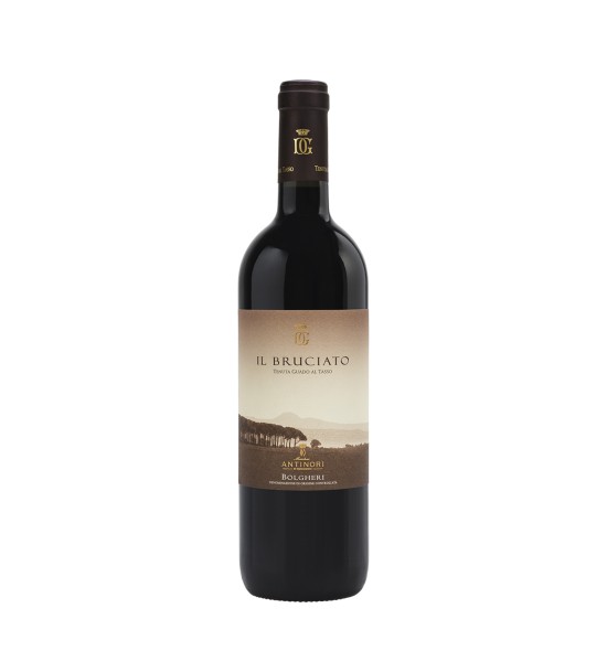 Antinori Guado al Tasso Il Bruciato Bolgheri DOC 0.75L Antinori Guado al Tasso Il Bruciato Bolgheri DOC 0.75L