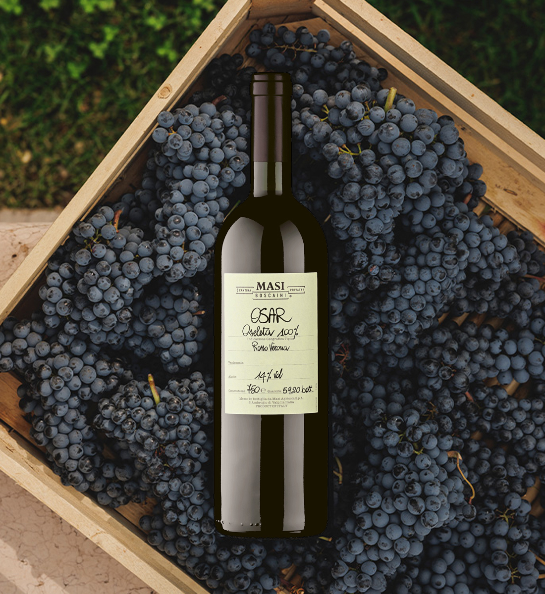 Masi Boscaini Osar Rosso del Veronese - Vin Rosu Sec - Italia - 0.75L